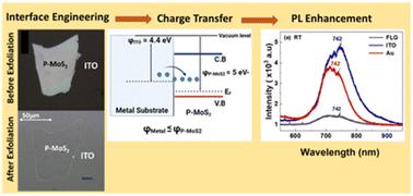 Manipulation of trions to enhance the excitonic emission in monolayer p-MoS2 and its hetero-bilayer by reverse charge injection†