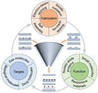 Bioinspired solid-state nanochannels for molecular analysis