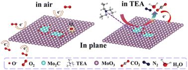 Synthesis of in-plane Mo2C/MoO3 heterostructures by a novel spatial-confined partial oxidation approach for enhanced TEA sensing†