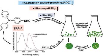 Improvement of growth and lipid accumulation in microalgae with aggregation-induced emission-based nanomaterials towards sustainable lipid production†