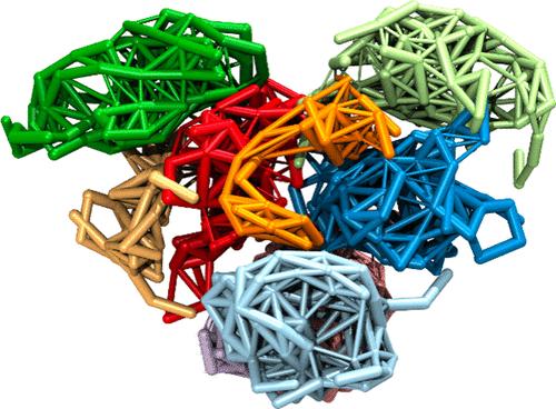 The Conformational Space of the SARS-CoV-2 Main Protease Active Site Loops Is Determined by Ligand Binding and Interprotomer Allostery