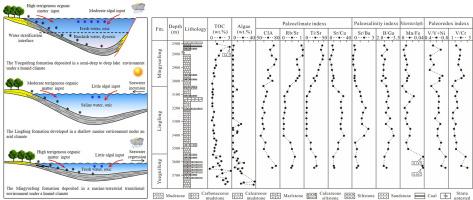 Paleoclimatic and paleoenvironmental constraints on organic matter enrichment in the Paleocene strata in the Lishui Sag, East China Sea Shelf Basin