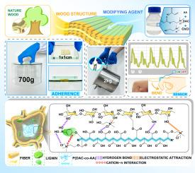 Adhesive conductive wood-based hydrogel with high tensile strength as a flexible sensor
