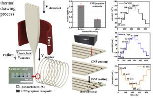 Advancing multiplexed ion monitoring techniques: The development of integrated thermally drawn polymer fiber-based ion probes