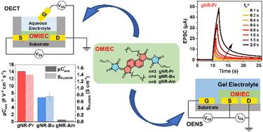 Modulating crystallinity and mixed ionic–electronic conduction properties via terminal side chain engineering of n-type small molecules†