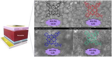 Dopant-free tert-butyl Zn(ii) phthalocyanines: the impact of substitution on their photophysical properties and their role in perovskite solar cells†