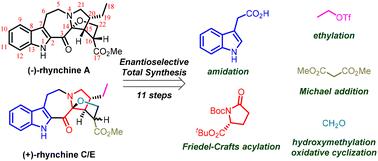 Total synthesis of (–)-rhynchine A, (+)-rhynchine C and (+)-rhynchine E†