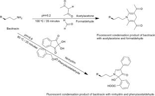 摘要图片