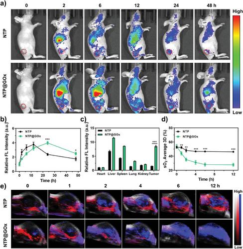 Self-Boosting Programmable Release of Multiple Therapeutic Agents by Activatable Heterodimeric Prodrug-Enzyme Assembly for Antitumor Therapy
