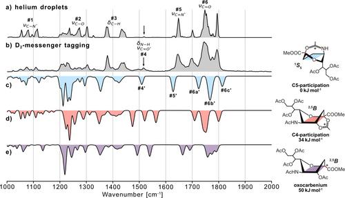 Direct Experimental Characterization of a Sialyl Cation