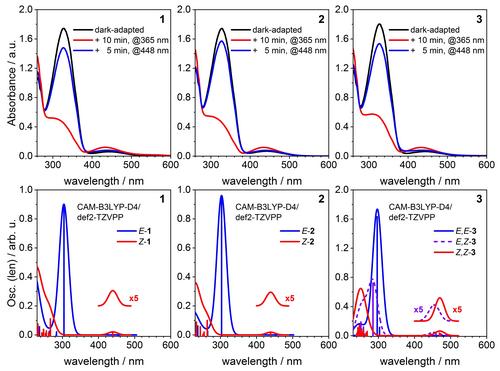 A Reversibly Photoswitchable Zinc Metallocycle based on Azobenzene