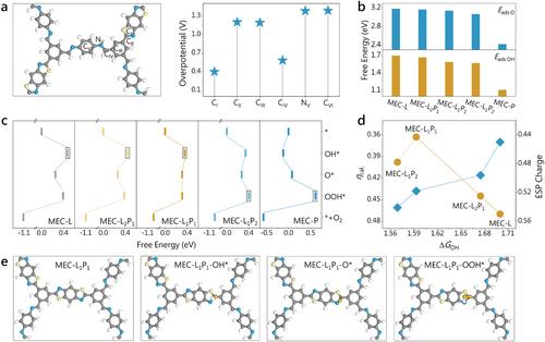 Engineering p-Orbital States via Molecular Modules in All-Organic Electrocatalysts toward Direct Water Oxidation