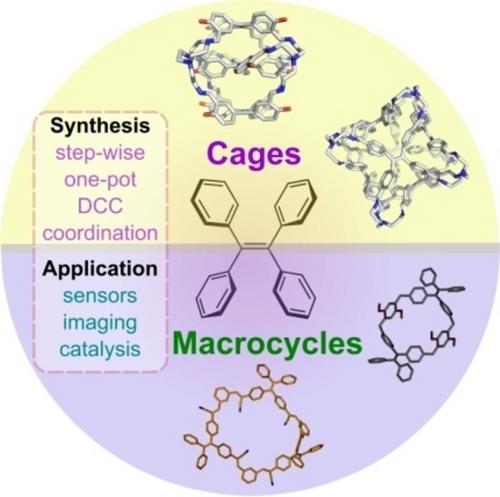 The Designs and Applications of Tetraphenylethylene Macrocycles and Cages
