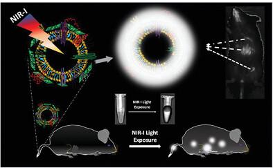 Molecular Engineering of Ultrabright Biomimetic NanoGhost for Site-Selective Tumor Imaging and Biodistribution