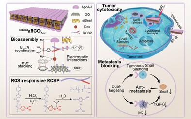 Synergistic Target-Attacking Tumor Cells and M2 Macrophages via a Triple-Responsive Nanoassembly for Complete Metastasis Blocking