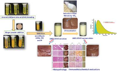 Olive and Linseed Oil Blend-Based Nanoemulsions Fortified With Ginger Extract Nutraceutical: Mitigating Liver Fibrosis Induced by Carbon Tetrachloride by Regulating Oxidative Stress and TGF-β/MMP9 Signaling Pathway in Rats