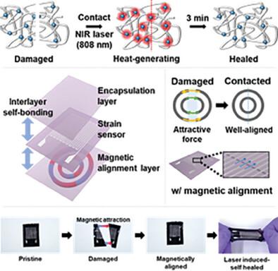 A Magnetically Self-Aligning, Fast Full-Device Self-Healing, Skin-Attachable Liquid Metal Strain Sensor Based on Photothermal Polyurethane