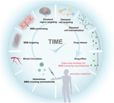 Critical Challenges of Intravenous Nanomaterials Crossing the Blood-Brain Barrier: from Blood to Brain