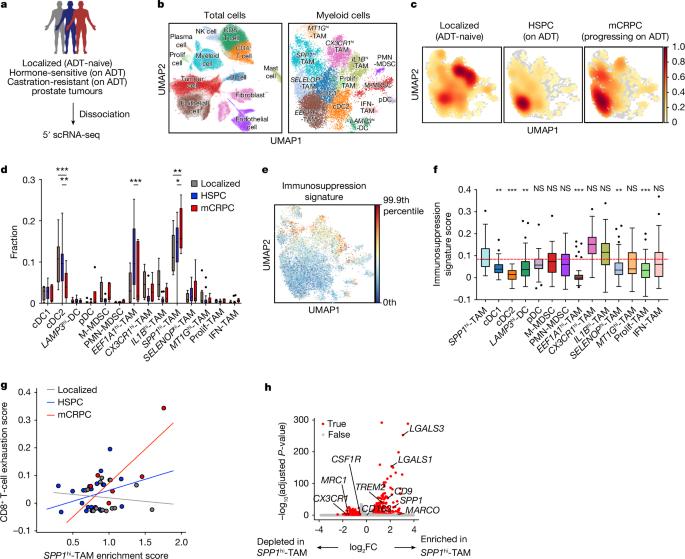 Evolution of myeloid-mediated immunotherapy resistance in prostate cancer