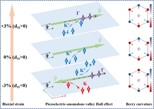 Coexisting Giant Tunable Valley Polarization and Piezoelectric Response in FeO2SiGeN2 Monolayers