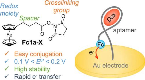 Ferrocenyl Compounds as Alternative Redox Labels for Robust and Versatile Electrochemical Aptamer-Based Sensors