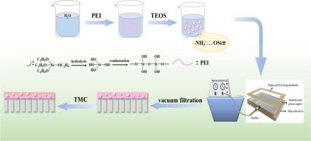 Preparation of a swelling-resistant polyethyleneimine-based pervaporation membrane via surface gradient crosslinking for the separation of methanol/dimethyl carbonate