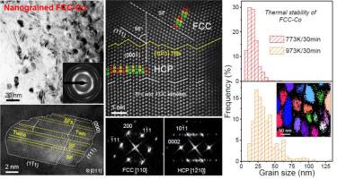 Plastic deformation induced strong and stable nanograined face-centered cubic Co