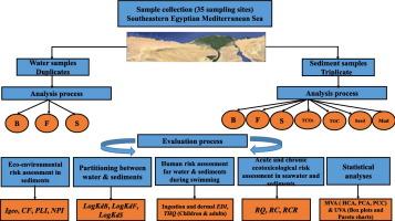 A holistic approach to distribution, ecotoxicology, and human health risk of potentially hazardous emerging pollutants along the Egyptian Mediterranean coast: Univariate and multivariate analyses