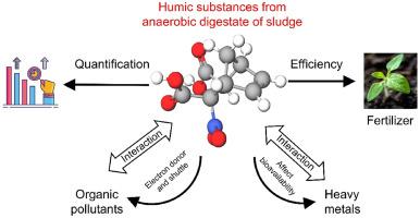 A review on the recovery of humic substances from anaerobic digestate of sludge as a potential fertilizer: Quantification, efficiency and interaction with pollutants