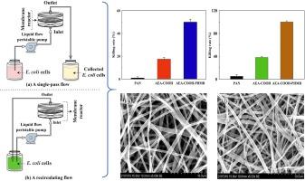 Optimization of flow dynamics in single-pass and recirculating systems for enhanced Escherichia coli removal efficiency using polyhexamethylene biguanide (PHMB) modified PAN-based nanofiber membranes