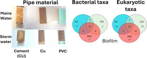 Impact of stormwater on biofilm density and microbial community composition in water distribution networks