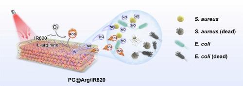 Photonic hydrogels combining the slow photon effect and NO gas therapy for synergetic enhanced photodynamic antibacterial therapy