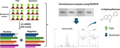 Changes in the rhizosphere metabolome profile of wastewater-irrigated lettuces (Lactuca sativa L.) highlighted using non-target HRMS and ROIMCR chemometrics method