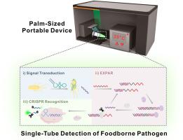 Single-tube detection of a foodborne bacterial pathogen using user-friendly portable device