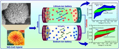 Enhanced Lithium-ion/Sodium-ion Battery Performances Using Chrysanthemum Flower-like NiO-CoO Anode: Insights into Li+/Na+ Charge Storage Mechanism
