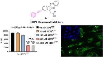6H-Indolo-[2,3-b]-quinoxaline derivatives as promising bifunctional SHP1 inhibitors†