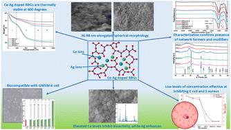 Exploring the bioactivity and antibacterial properties of silver and cerium co-doped borosilicate bioactive glass†