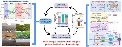 Dissimilatory nitrate reduction pathways drive high nitrous oxide emissions and nitrogen retention under the flash drought in the largest freshwater lake in China