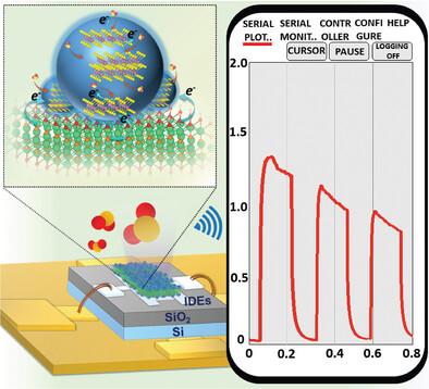 Ti3C2Tx MXene Functionalized via Boron Doped MoS2 Quantum Dots: A Synergy of Heterojunctions and Doping Effect Enabling Ultrasensitive SO2 Detection at Room Temperature