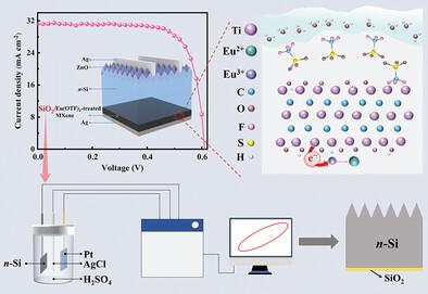 Multifunctional Optimization of MXene for Enhanced Comprehensive Performance of Crystal Silicon-MXene Back-Heterojunction Solar Cells