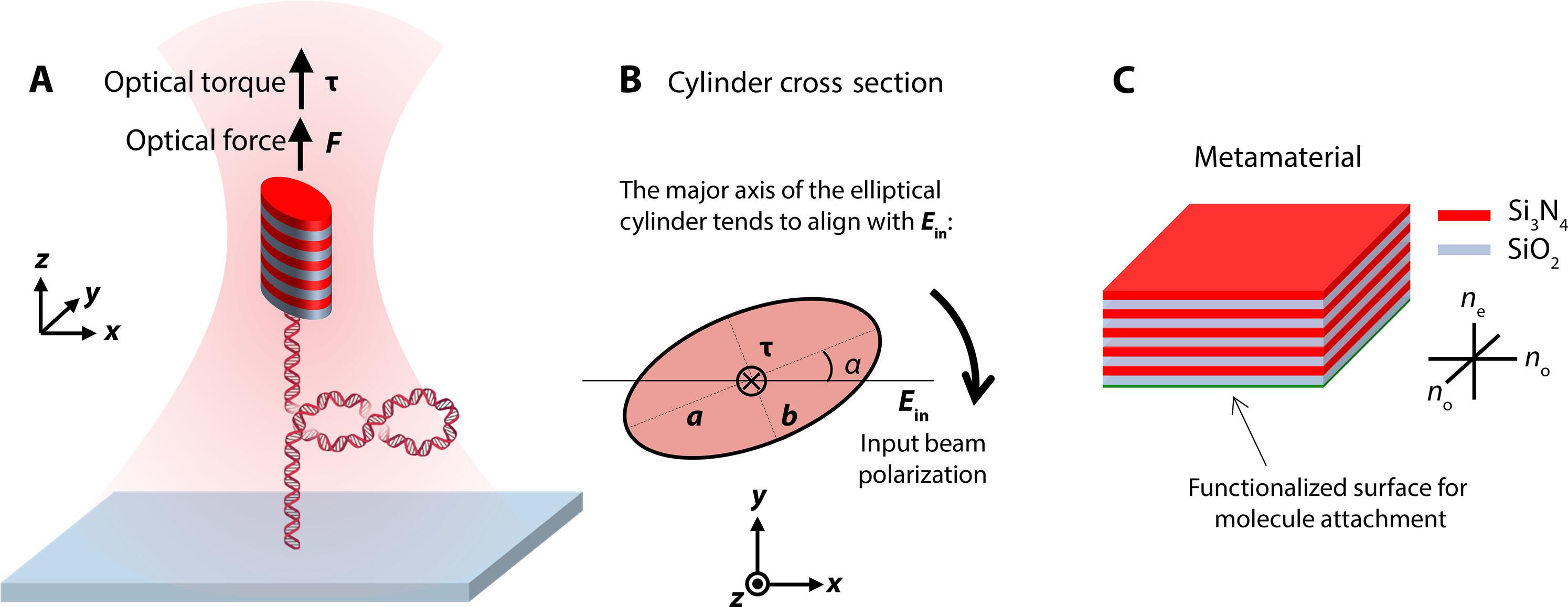 Tunable elliptical cylinders for rotational mechanical studies of single DNA molecules
