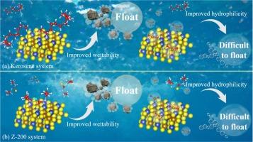 Experimental and theoretical studies on the effect of Fe3+ on the surface properties and floatability of chalcopyrite