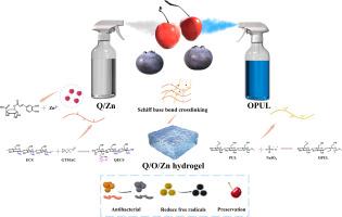 All-in-one: Harnessing multifunctional natural polysaccharide spray hydrogel loaded with polyphenol-metal nanoparticles for fruit preservation
