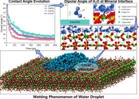 Molecular structure and dynamics of water on the surfaces of cement hydration products and associated Minerals: Nanoscale wettability behavior