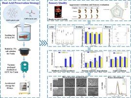 Elevating sensory quality through a dual-acid preservation strategy in ready-to-eat crayfish (Procambarus clarkii)