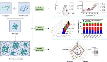 Enhancing pork meat batter with curdlan gum-guar gum composite microgels: Impact of fat replacer on gel properties, water distribution, and sensory perception