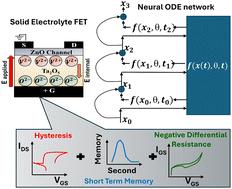 Neural ordinary differential equations for predicting the temporal dynamics of a ZnO solid electrolyte FET†