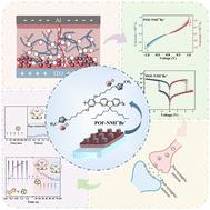 Conjugated polyelectrolyte with a backbone integrated by benzene and fluorene for mimicking neural synapses and associative learning†
