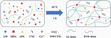 Polyacrylamide/sodium alginate-based carbon nanocomposite conductive hydrogels for wearable flexible devices
