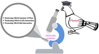 Atomic-level mechanisms of abnormal activation in NRAS oncogenes from two-dimensional free energy landscapes†